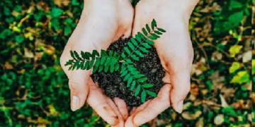 World Hepatitis Day 2021 Theme, History, Significance, Importance, Activities, Facts and More