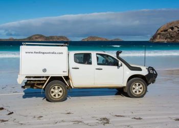 3 Key Points To Consider Before You Buy Canopies For Your Ute