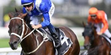 An Introduction to the George Ryder Stakes