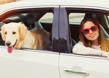 How to Find Affordable Pet Taxi Services Around Town