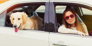 How to Find Affordable Pet Taxi Services Around Town