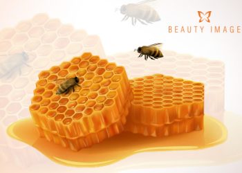What Is Beeswax Exactly?