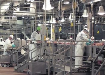 Valuable Machinery in Any Factory Production Line