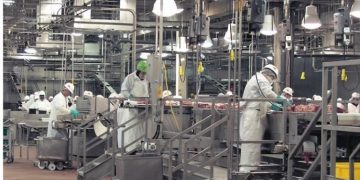 Valuable Machinery in Any Factory Production Line