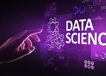 Data Scientist Job Trends: The Ultimate Guide