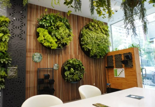 Sydney’s Best Green Wall Installers: Transform Your Space