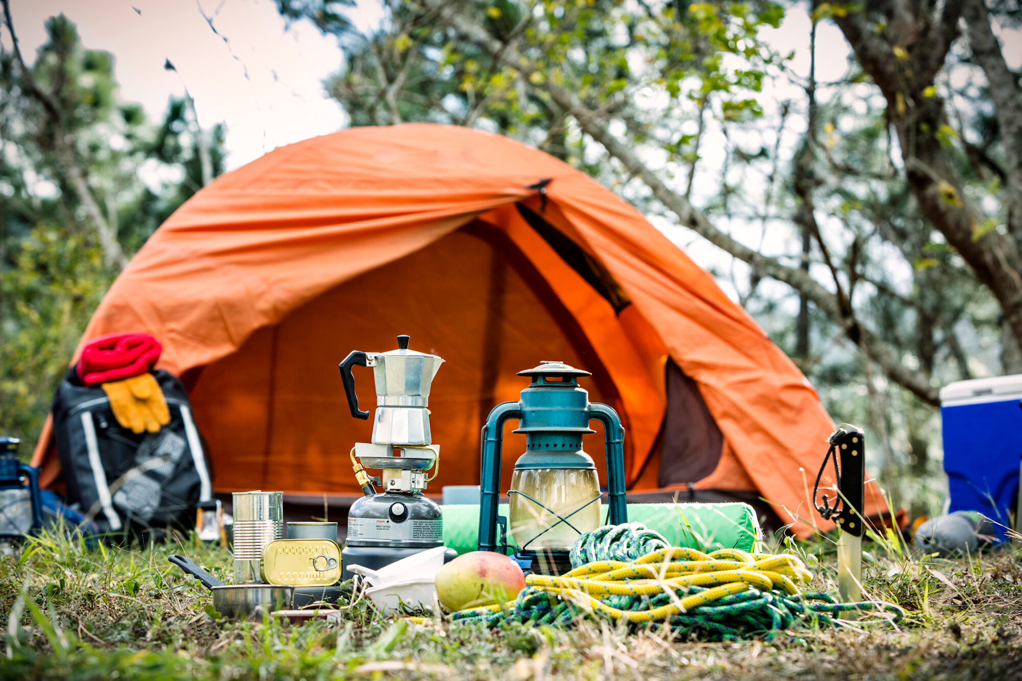 Camping Essentials That Make Every Trip Memorable